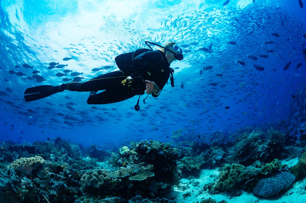 Best things to do in Greece - Scuba Diving in Mykonos 