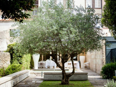 Catalonia Plaza Catalunya