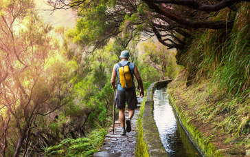 madeira-islands-travel-guide