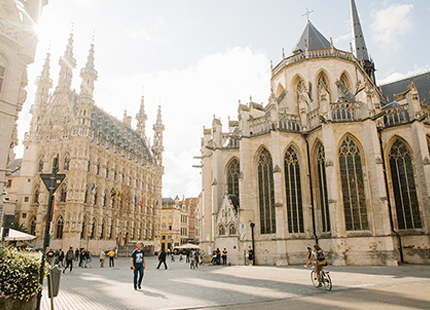 Leuven Gothic Town Hall