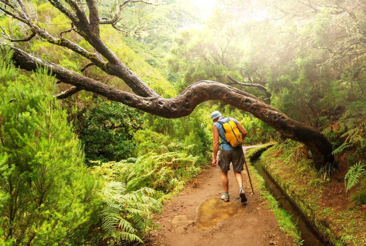 hiking-along-levada-best-things-to-do-for-nature-lovers-in-madeira