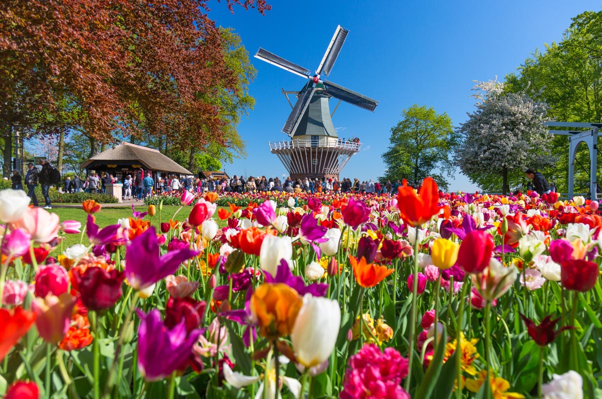 Best places to visit in the Netherlands - Keukenhof 1