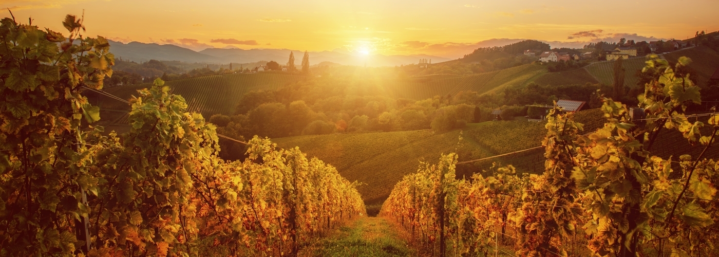 Best-Wine-Capitals-in-Europe
