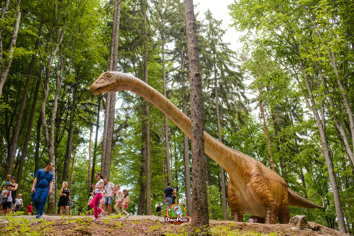 Dino Parc Râșnov - Best amusement parks in Europe