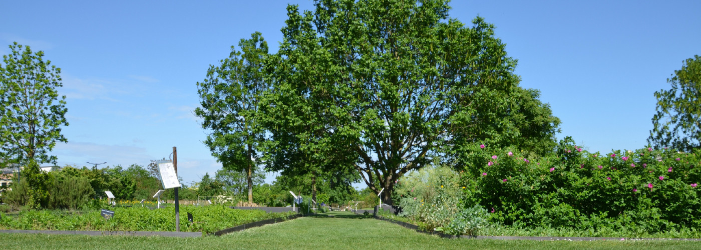 Botanical-garden-bordeaux