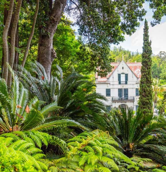 monte-palace-garden-best-things-to-do-madeira