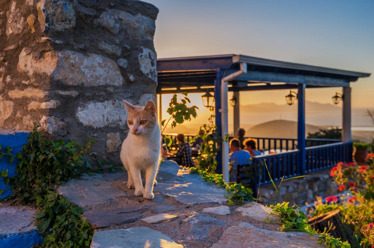Best islands in Greece - Kos Island copyright George Papapostolou - European Best Destinations
