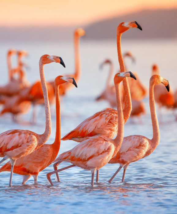 best-bird-watching-destinations