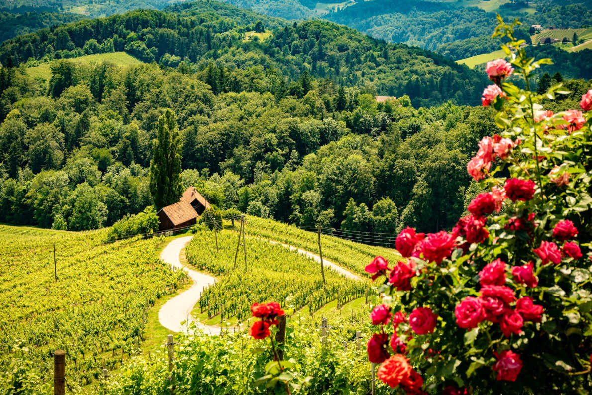 Most romantic Valentine Day destinations in Europe - Heart Shapped in Slovenia Copyright  iStock -  Przemysław Iciak   - European Best Destinations