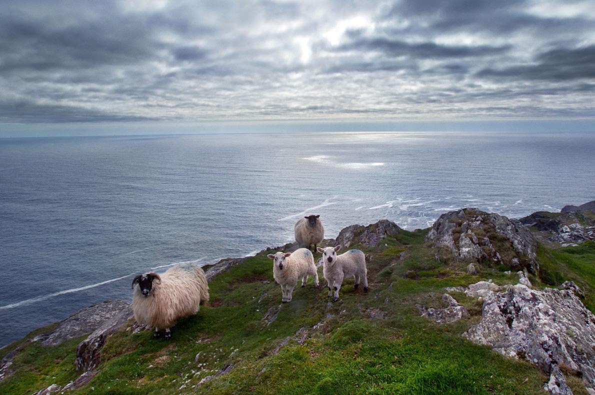 Most beautiful sustainable landscapes in Europe - Sheep's head - Copyright   Sheep's head.ie - European Best Destinations