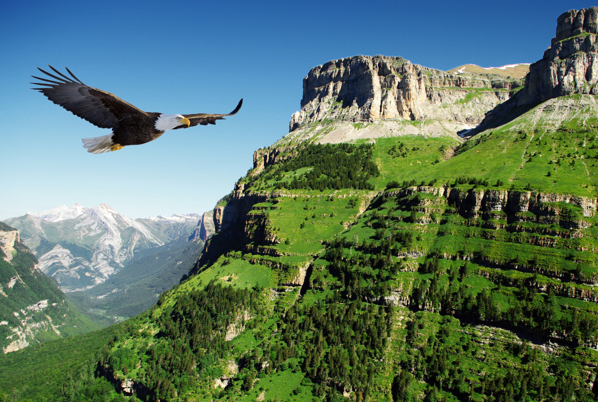 Ordessa Valley - Eagle - Best Bird Watching destinations in Europe - Copyright Lukasz Janyst - European Best Destinations