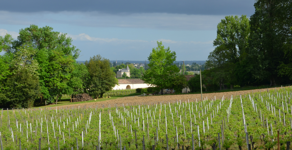 Château Coutet