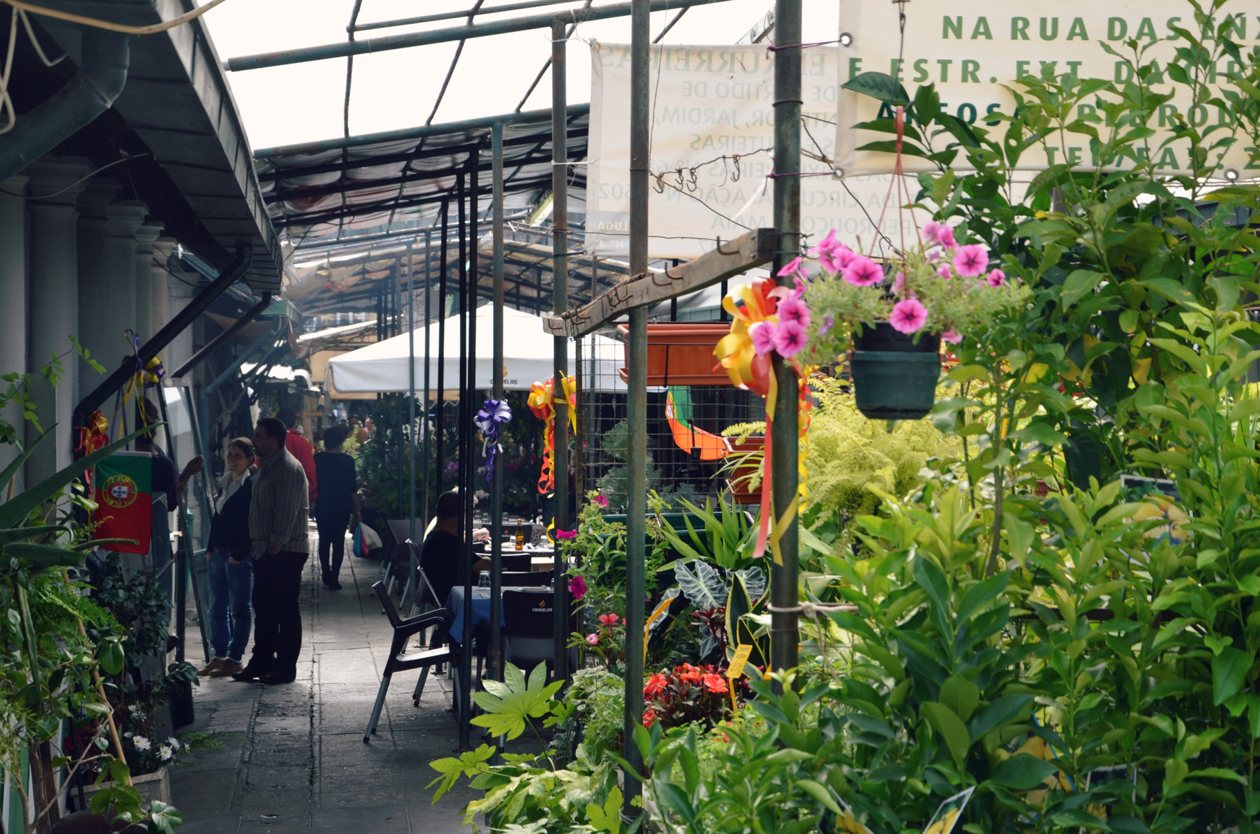 Mercado do Bolhão Market Porto Europe's