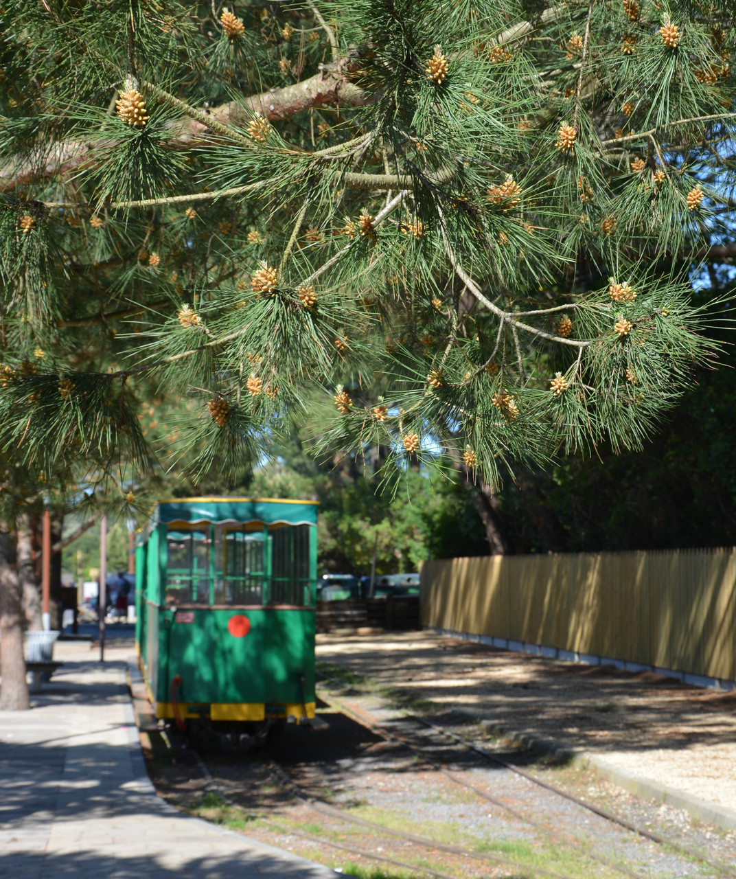 Bike ride Cap Ferret Europe's Best Destinations