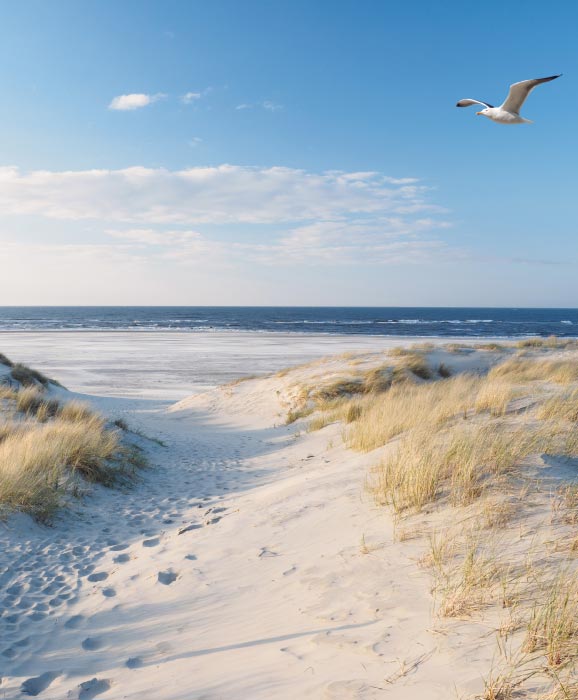 best-beaches-in-germany