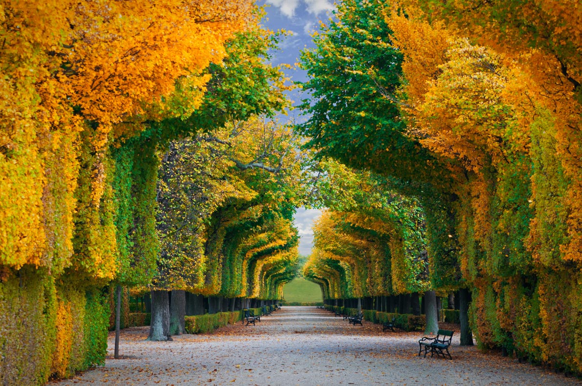 Best Green Capitals in Europe - Vienna
