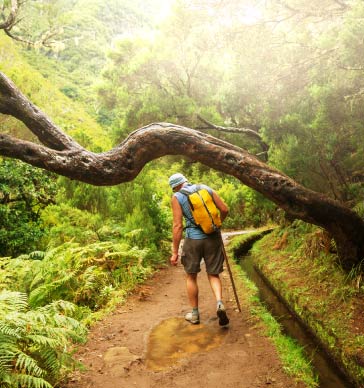 levada-walk-best-activities-in-madeira