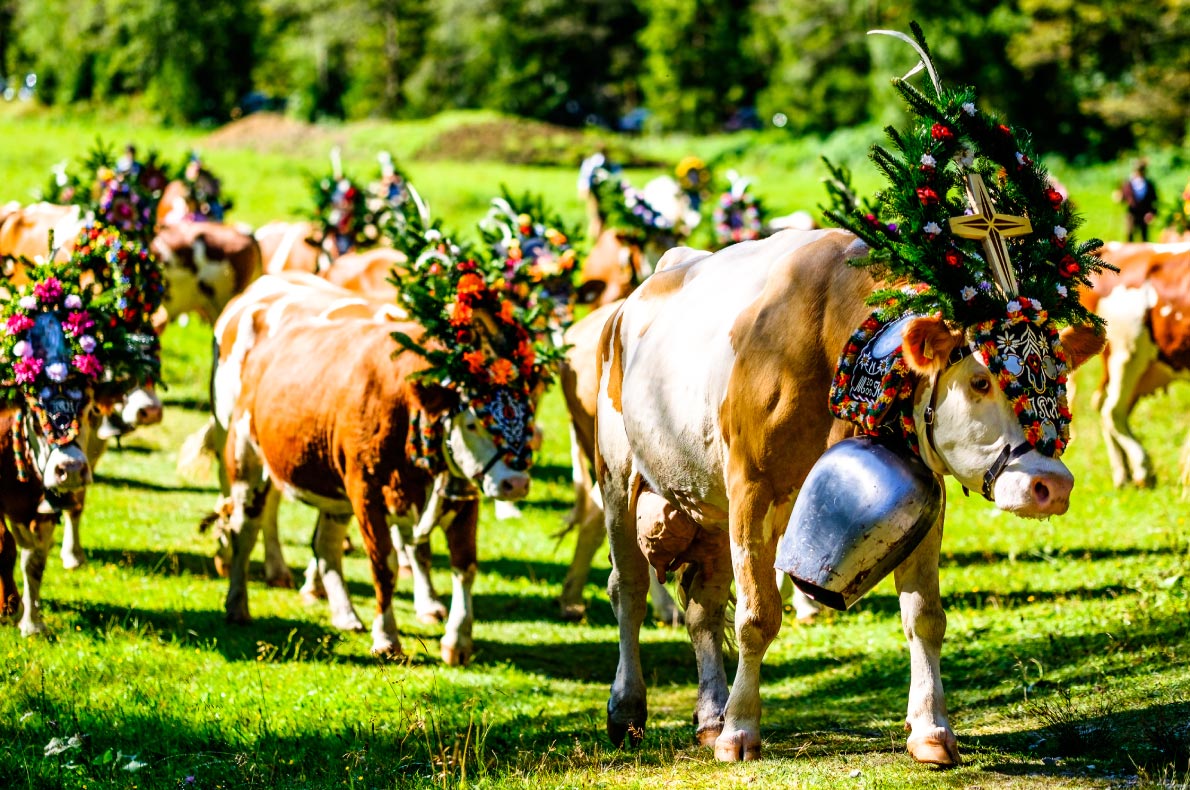 Best hidden gems in Austria - Pertisau - Copyrignt FooTToo - European Best Destinations