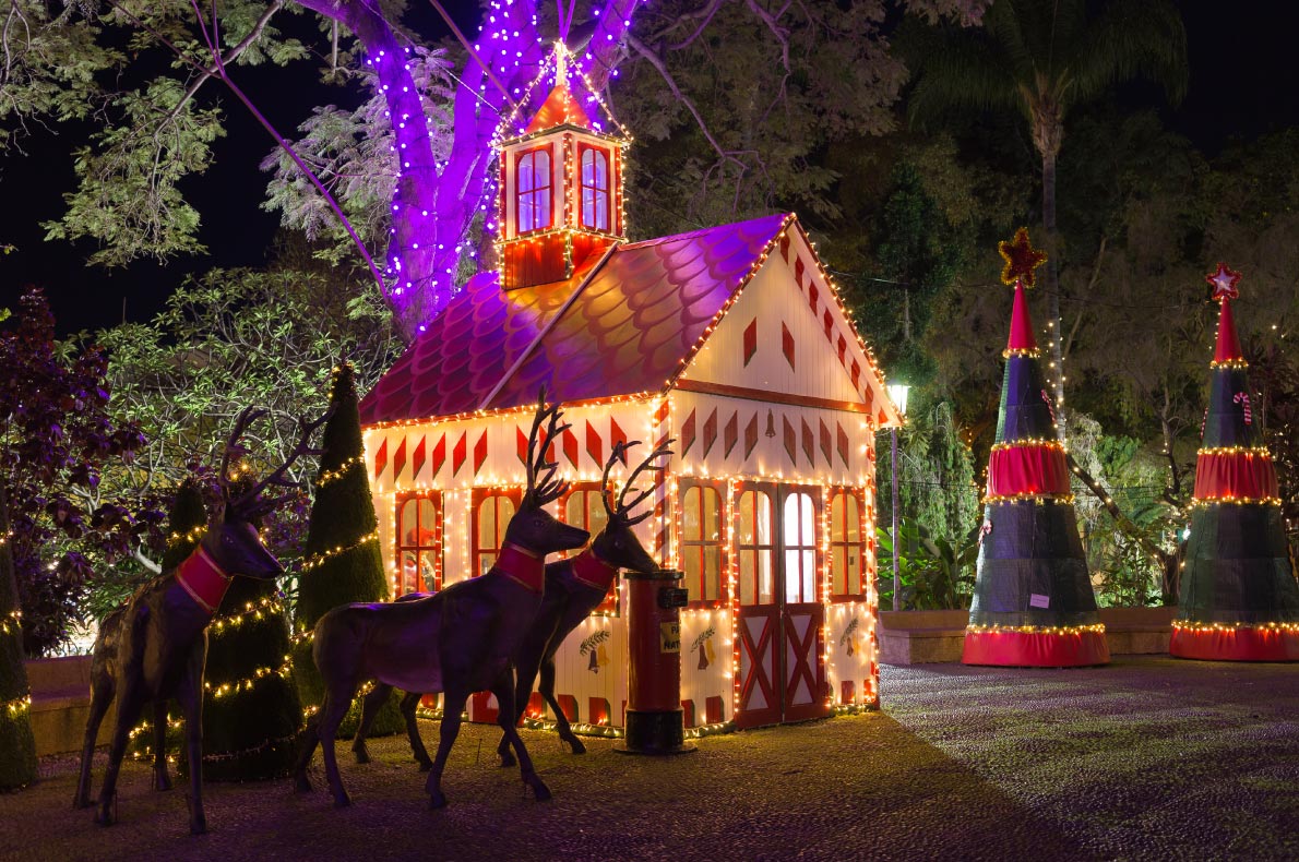 Reims Christmas Lights - Best Christmas Lights in Europe - Copyright - Cyril Beudot European Best Destinations