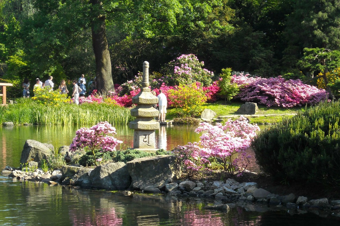 Best things to do with kids in Wroclaw - Japanese Garden