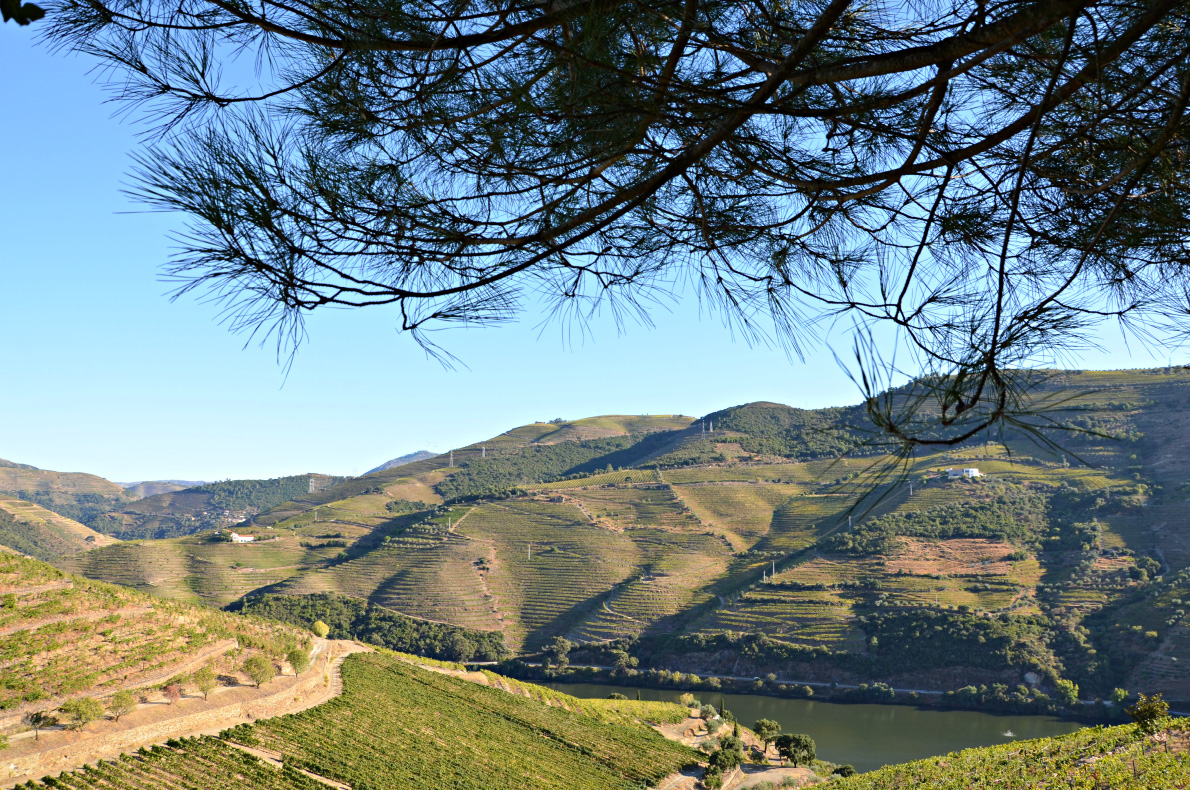 douro-river-cruise-portugal