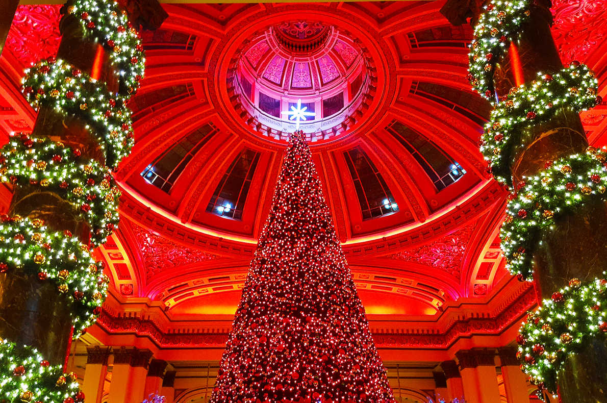 Best Christmas Tree in Europe - European Best Destinations