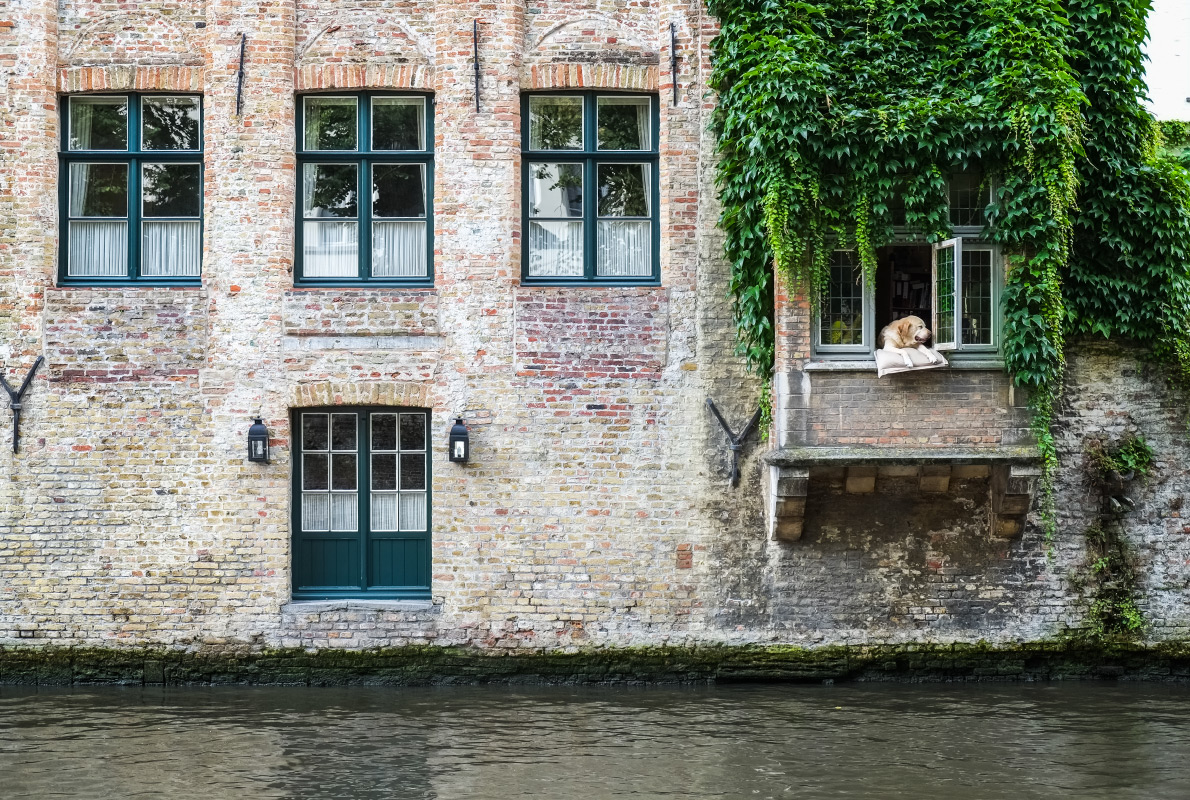 Bruges- Best dog friendly destinations in Europe - Copyright Youproduction - European Best Destinations