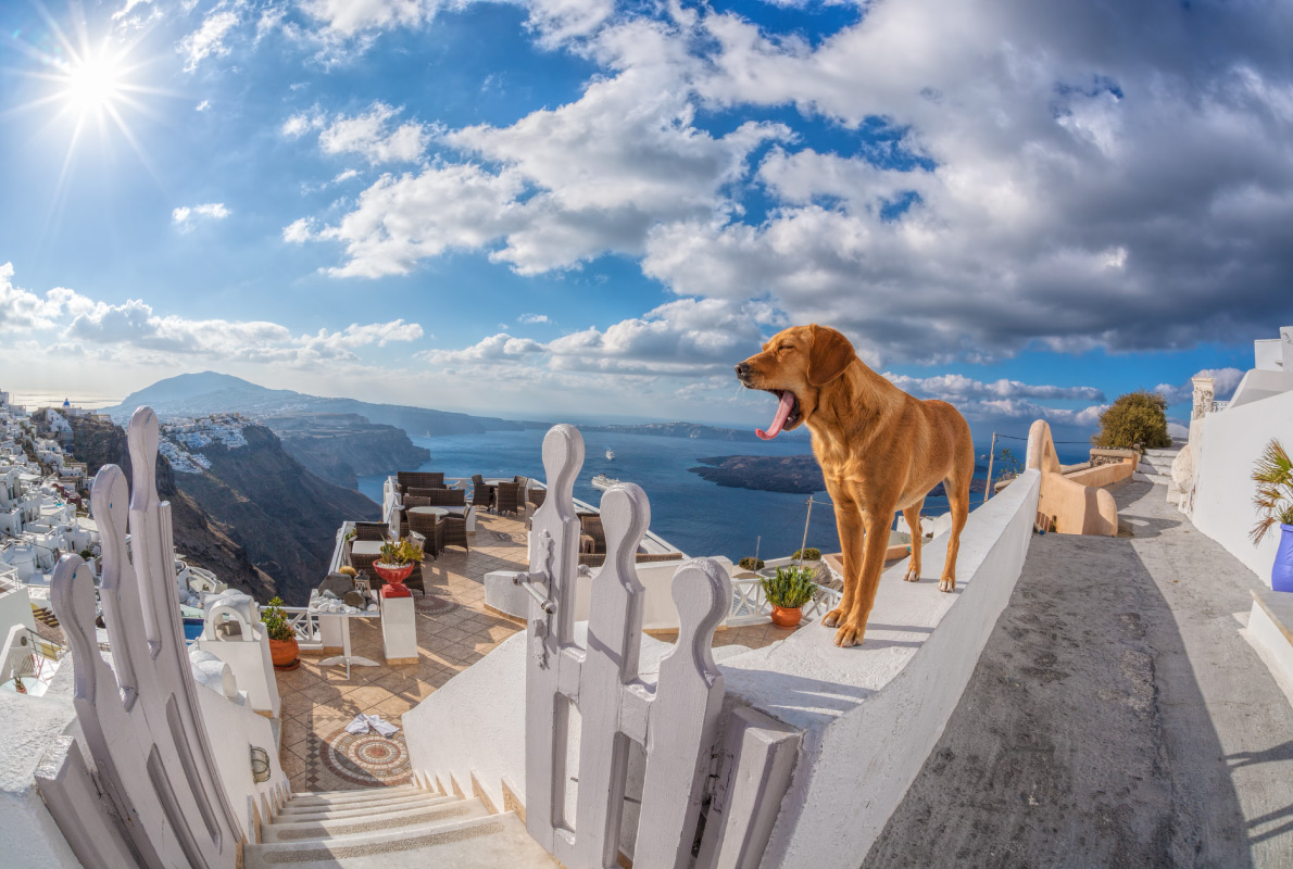 Santorini - Best dog friendly destinations in Europe - Copyright Samot - European Best Destinations
