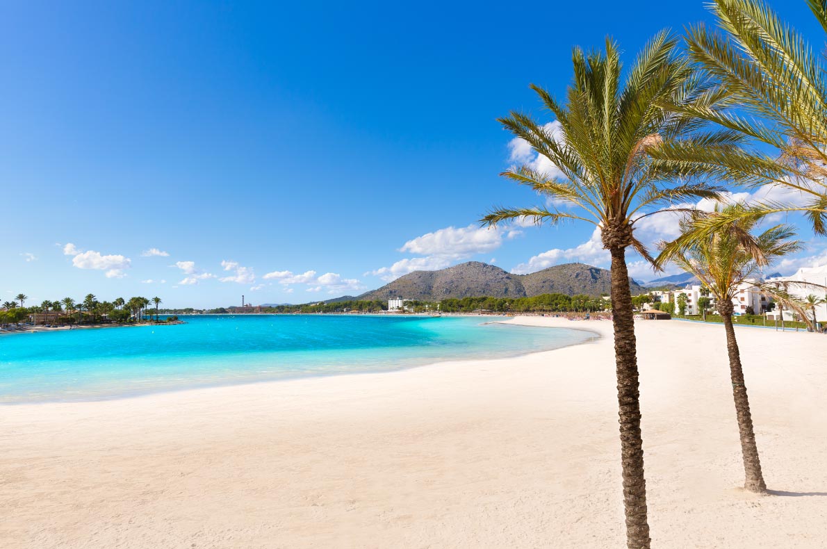 Best beaches in Spain - Platja de Alcudia beach palm trees in Mallorca Copyright holbox - European Best Destinations