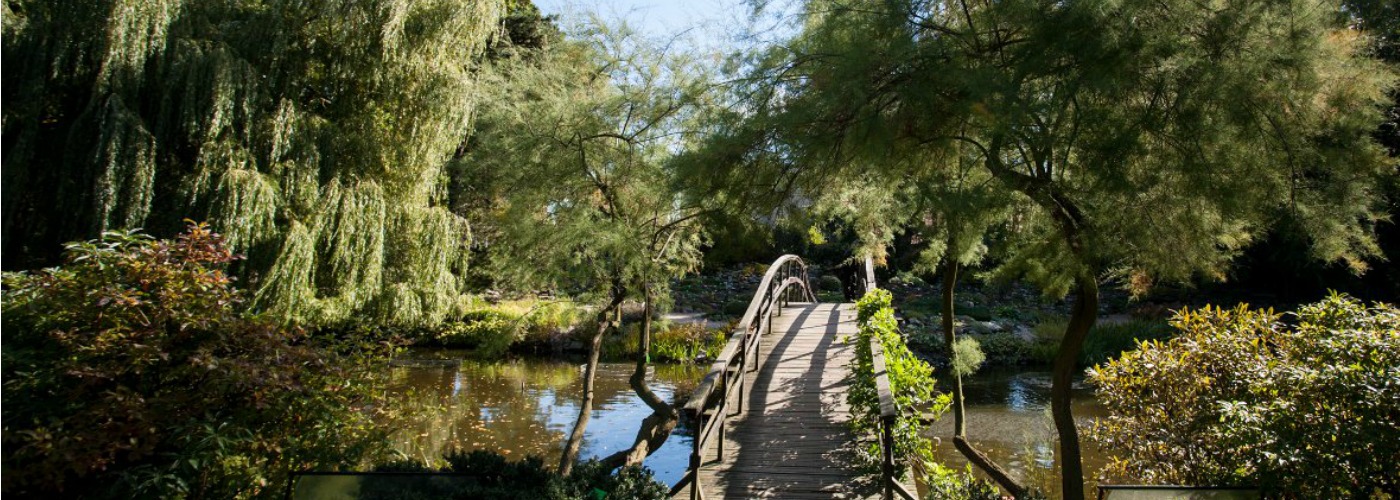 Botanical Garden wroclaw