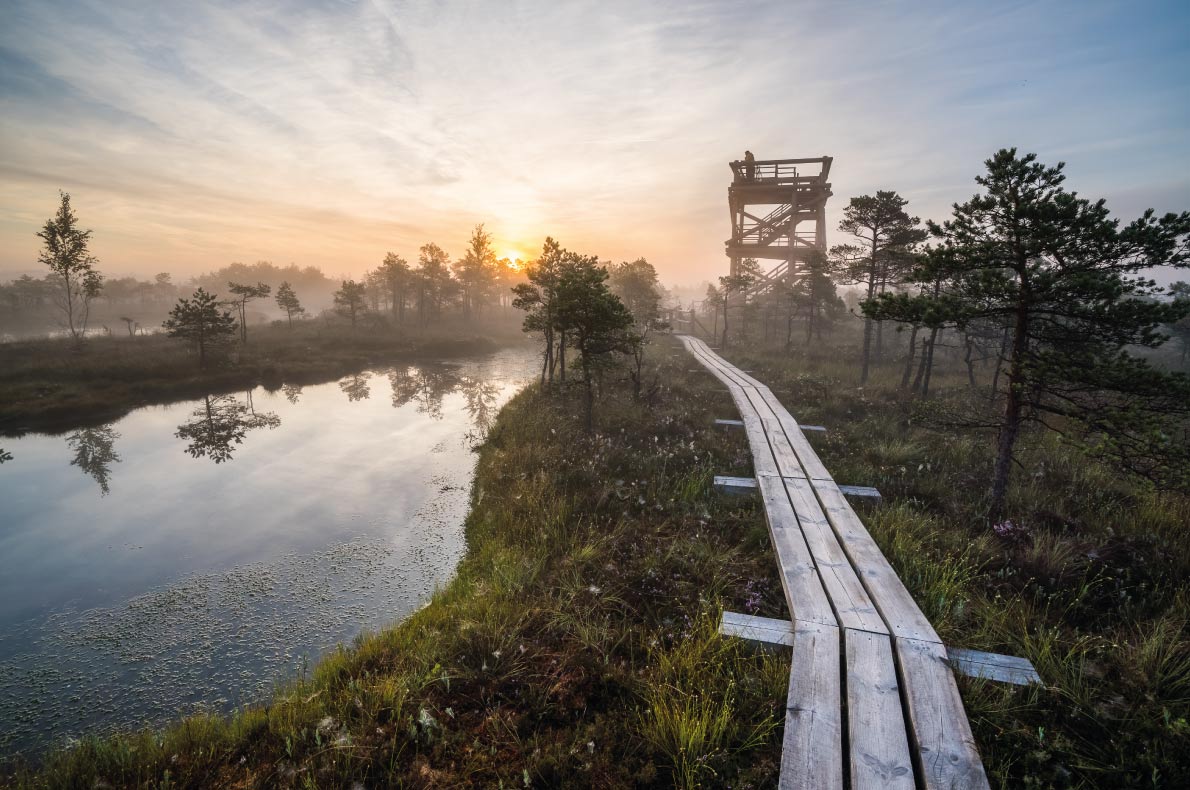 Best places for digital detox - Jurmala