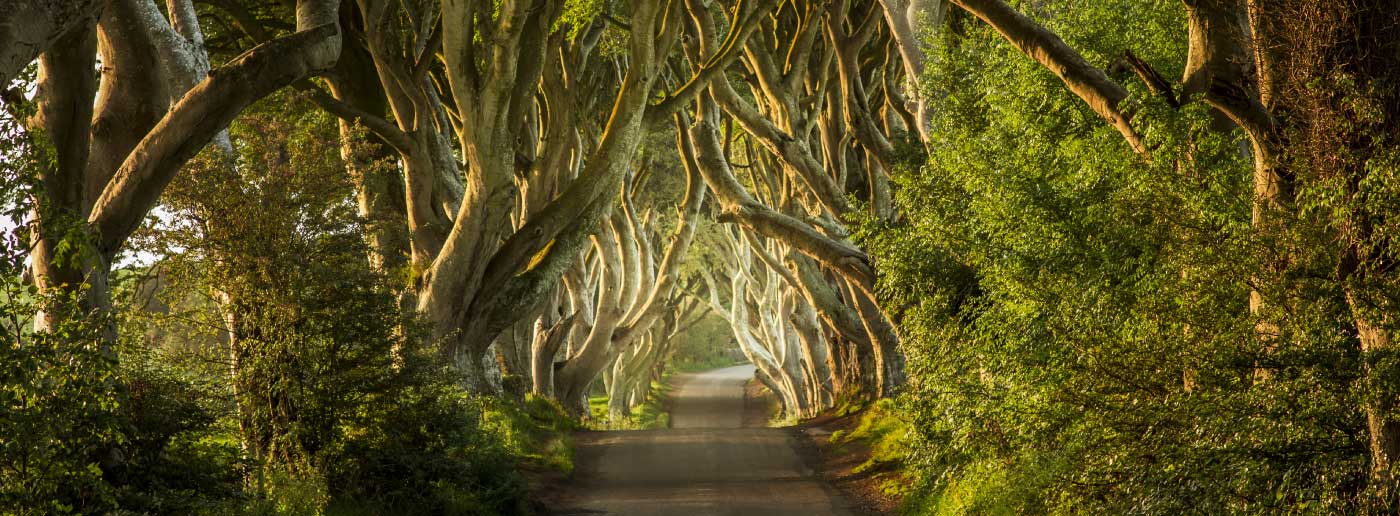 travel-ireland-tourism