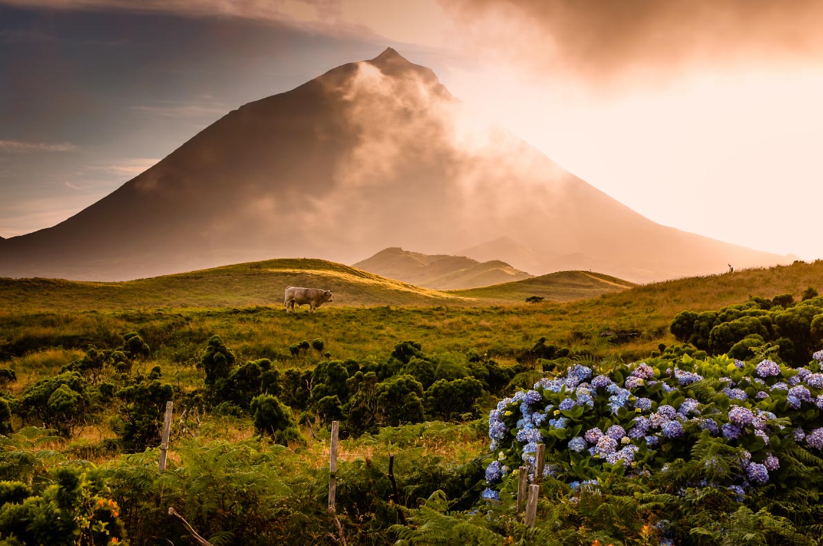 Nature wonders in Portugal - Pico island azores