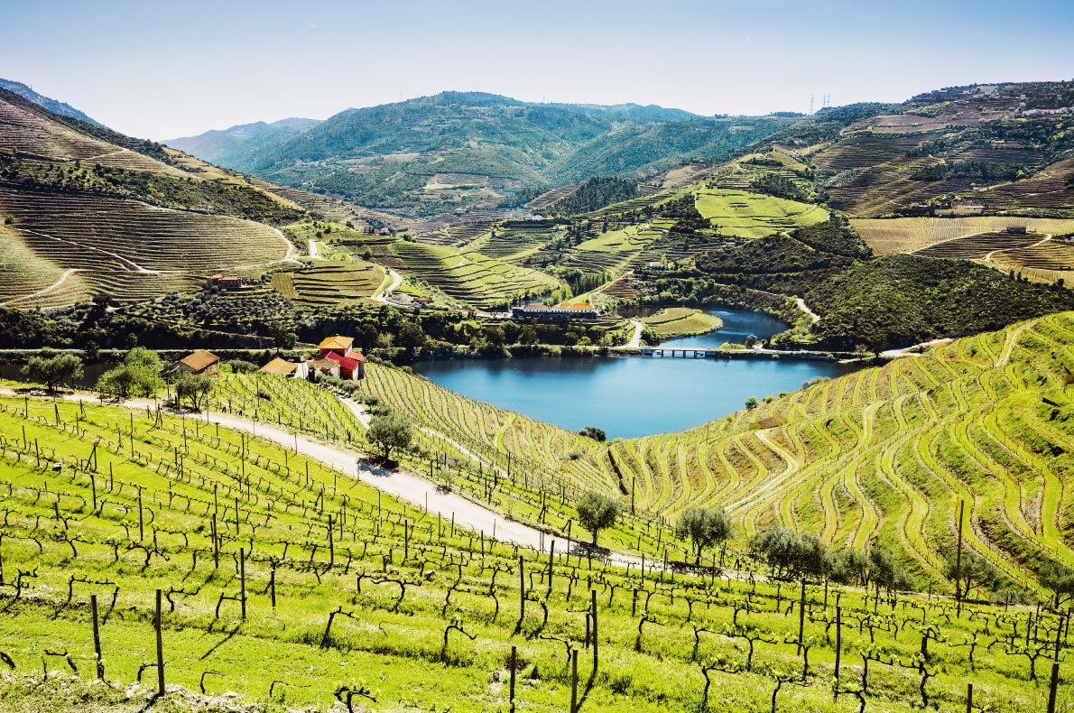 Nature wonders in Portugal - Douro Valley