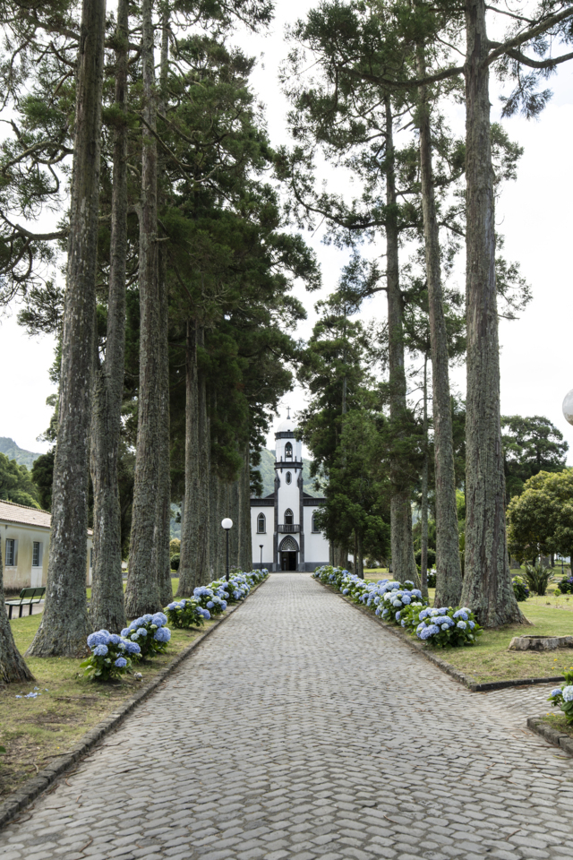 Azores - Copyright Martin Kaufmann