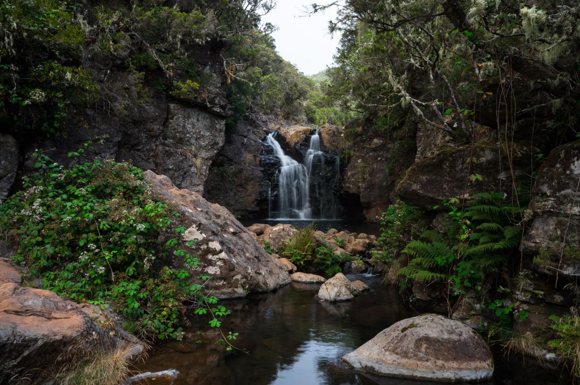 Madeira for Nature lovers - Madeira - Lagoa do Vento - Copyright Ingrid Pakats