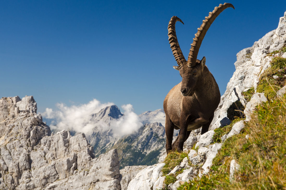 Most beautiful sustainable landscapes in Europe - Triglav National Park  - Copyright  Matevz Lavric  - European Best Destinations