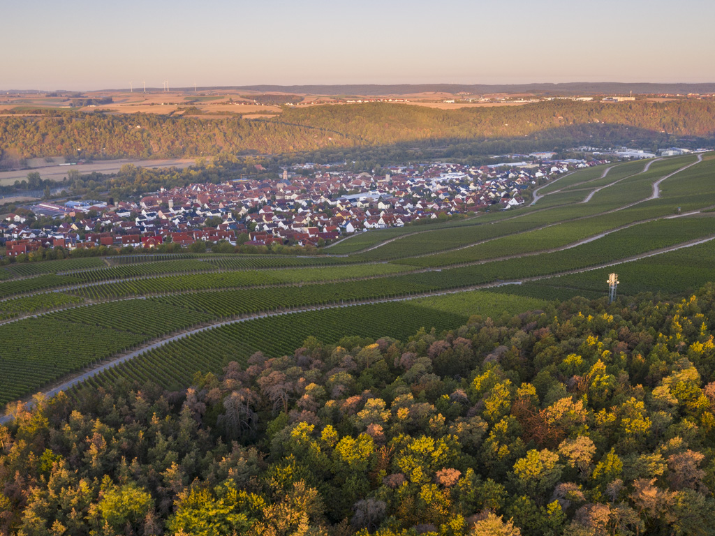 Blick auf Eibelstadt