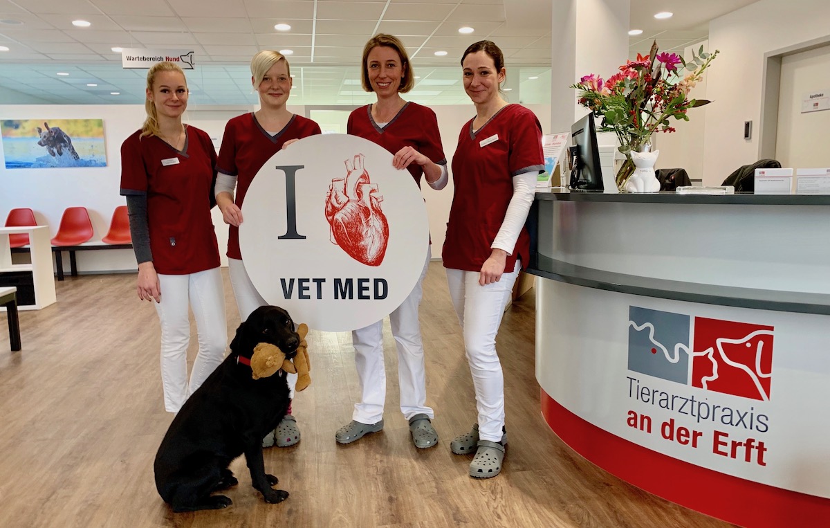 Tierarzt/Tierärztin für die Tierarztpraxis an der Erft in Bergheim ...