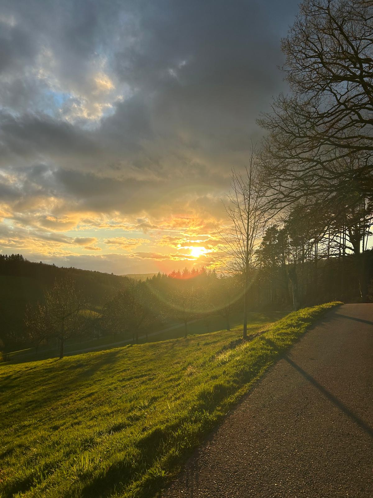 Urlaub im Schwarzwald 