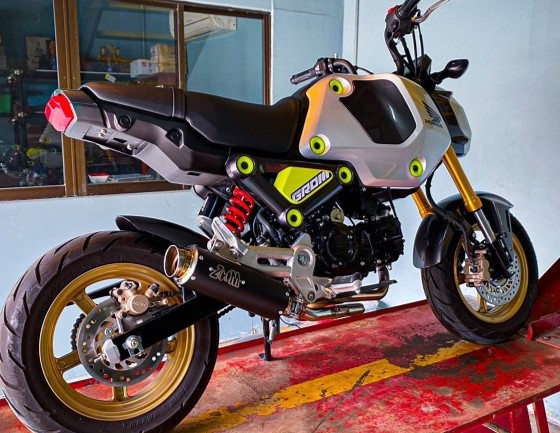 GROM 21-24 - Import T I S