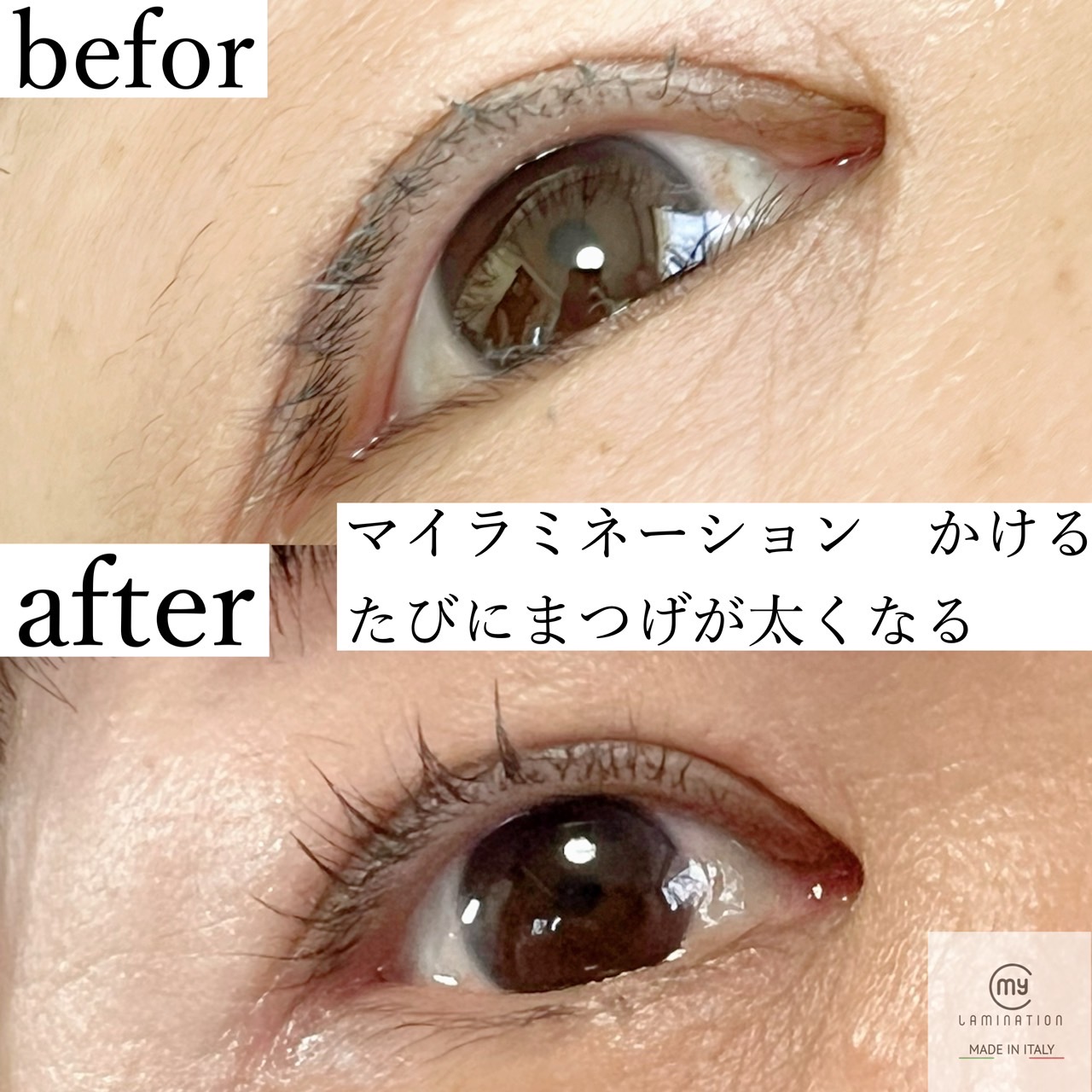 マイラミネーション茨城