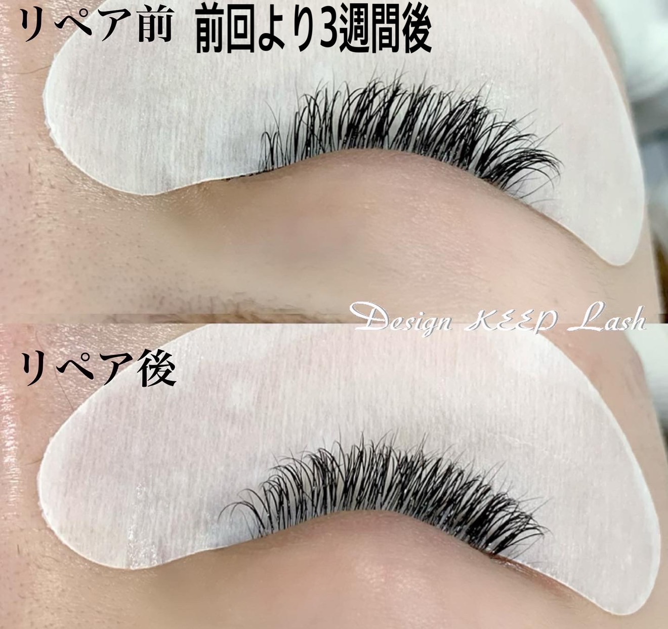 まつげエクステ　バラ毛　種類多数 まつげエクステ バラ毛 種類多数