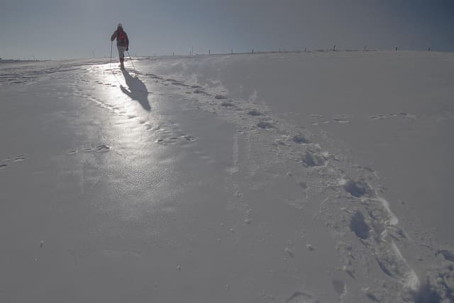Schneeschuhwanderung