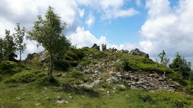 Wolfswarte - Nicontours