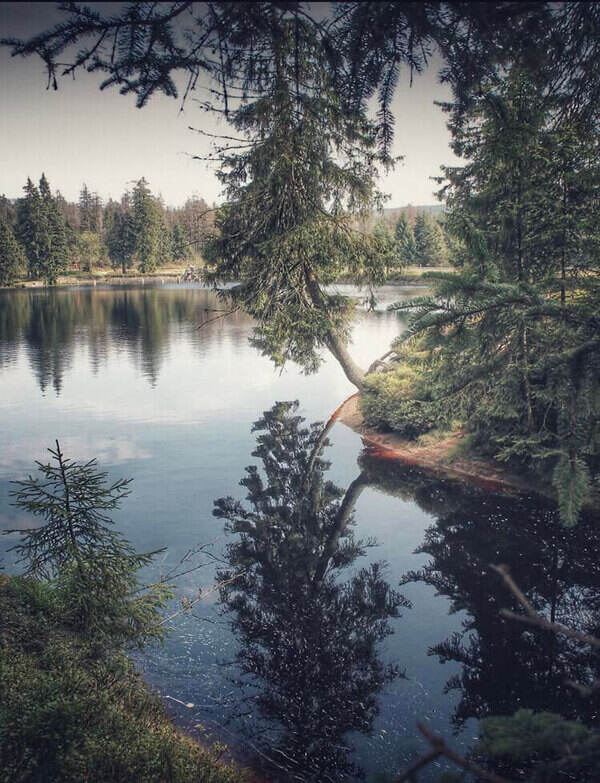 Stausee Oderteich - Nicontours