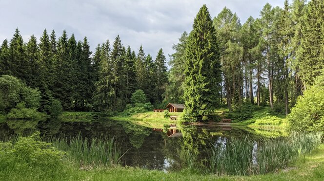 HÖLLTEICH UND OCHSENBACHER TEICH - Nicontours