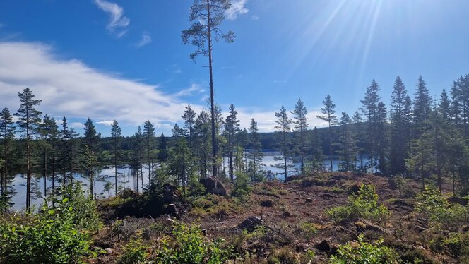 Blick zum Övre Sävsjön