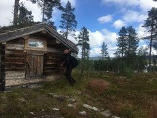 Wir suchen in Schweden ein Blockhaus