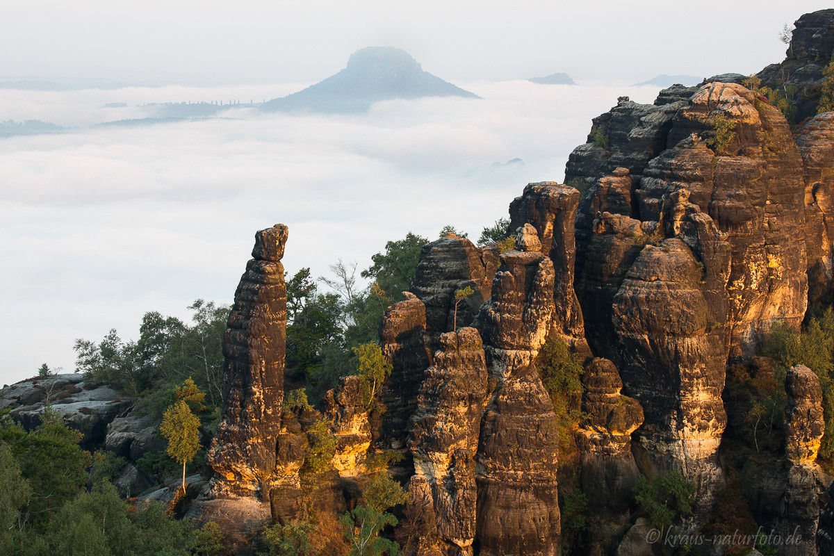 Blick auf die Schrammsteine, im Hintergrund der Lilienstein